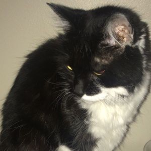 Meet your Posher, Margaret